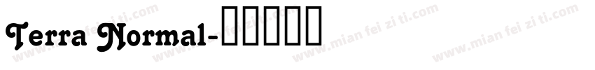 Terra Normal字体转换